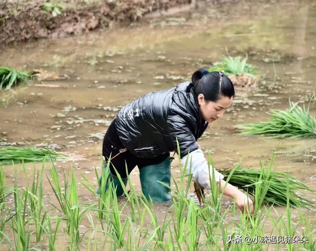 不要再称呼女人为美女了，已经过时了，现在流行这三种称呼