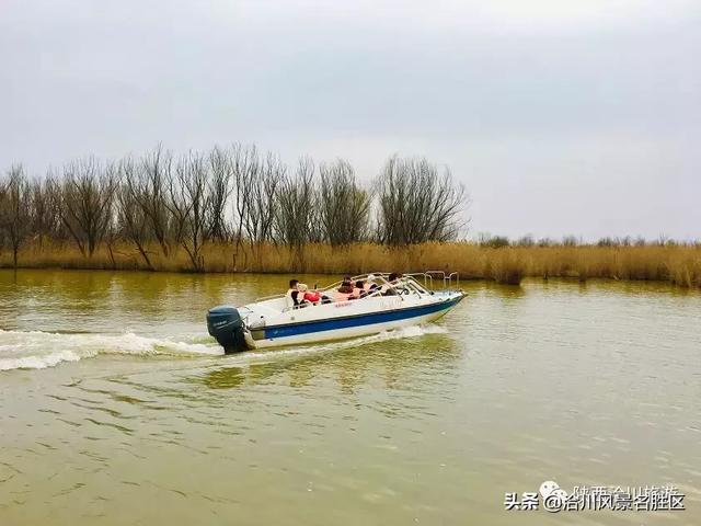 绽放春天的美丨龙抬头遇见女王节，我在洽川遇见你！