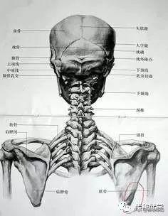 开胯是传统武术的不传之密