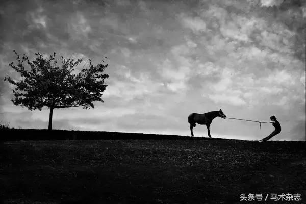 15张美女与骏马的“艳照”