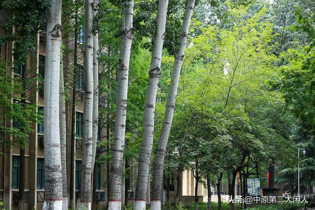 大学校园温馨浪漫让人怀念 文艺青年拍写真玩摄影的打卡地