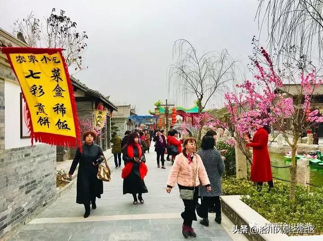 绽放春天的美丨龙抬头遇见女王节，我在洽川遇见你！