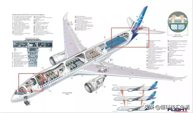 带你揭密空姐的“空中闺房”，很多乘客都没见过，精致！