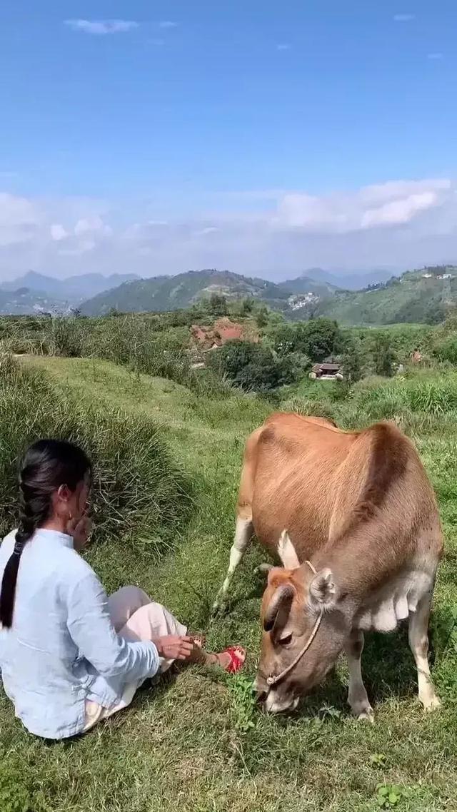 美女乡间放牛瞬间