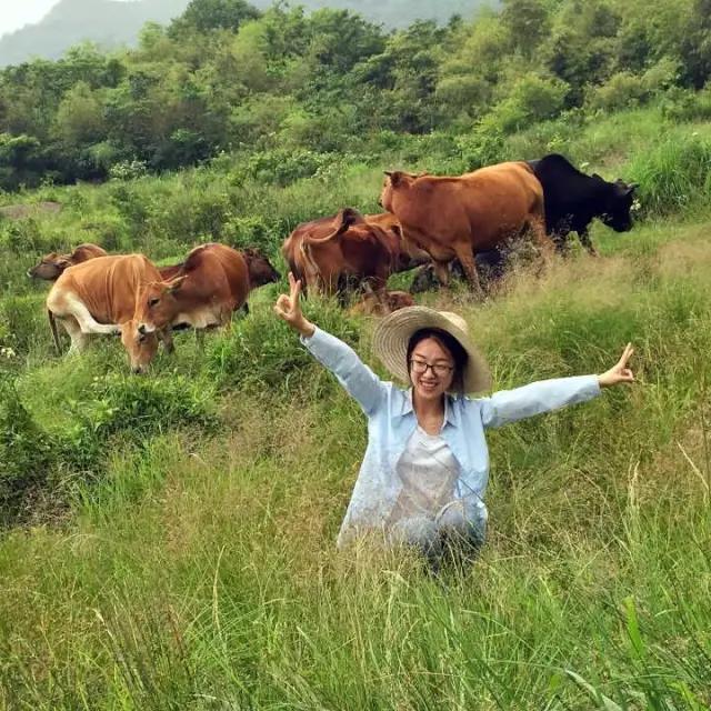 牧童骑牛而归，浙江杭州临安清凉峰有位美丽的养牛女孩