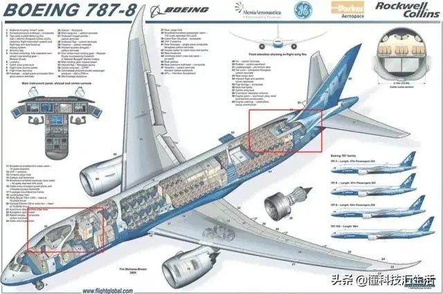 带你揭密空姐的“空中闺房”，很多乘客都没见过，精致！