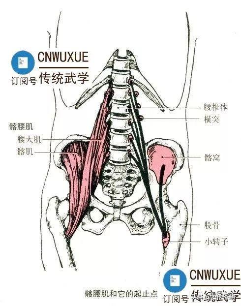 开胯是传统武术的不传之密