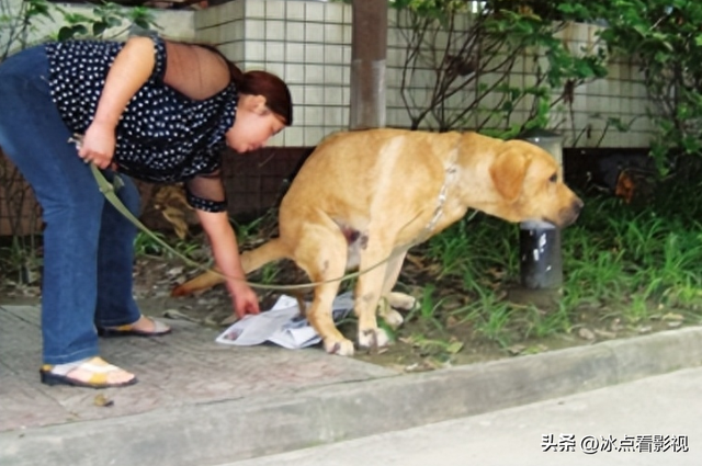 保时捷美女电梯内方便，引围观，邻居：活这么大岁数头一次见