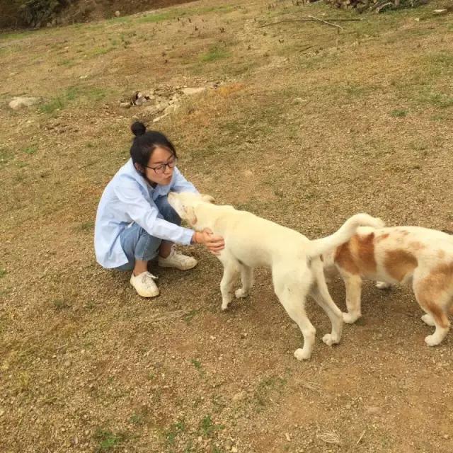 牧童骑牛而归，浙江杭州临安清凉峰有位美丽的养牛女孩