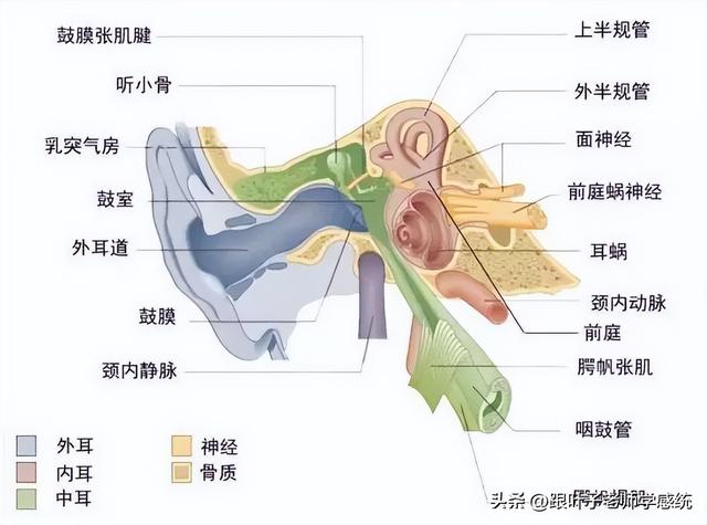 学习不能靠“逼”，了解背后原因，提高孩子自控力！