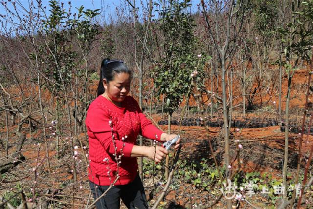 道德模范提名奖候选人——包梅芬