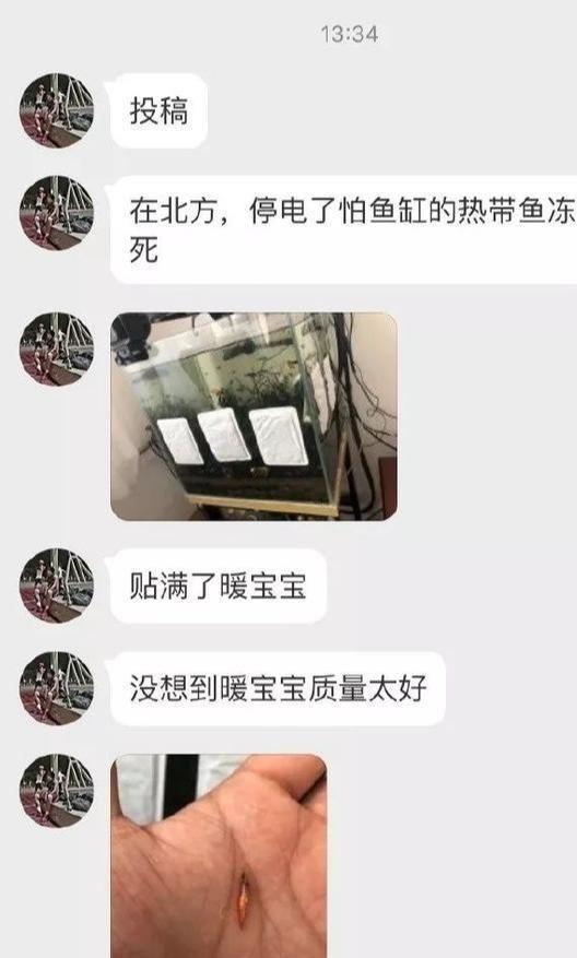 女子和同事打闹，用力过猛竟直接把底裤扯两半，羞得蹲地不敢起身