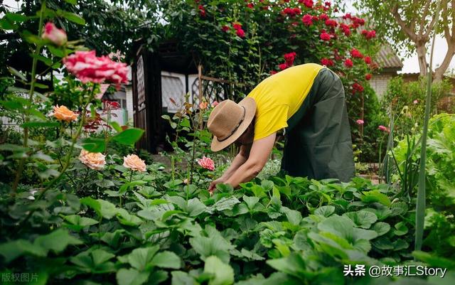 山东人追上了俄罗斯美女家庭教师，开始了他们的跨国婚姻