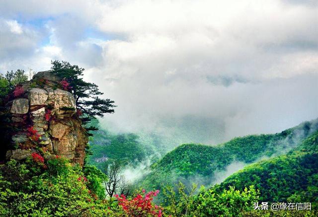 信阳好玩又免费的地方，你知道有哪些地方吗？