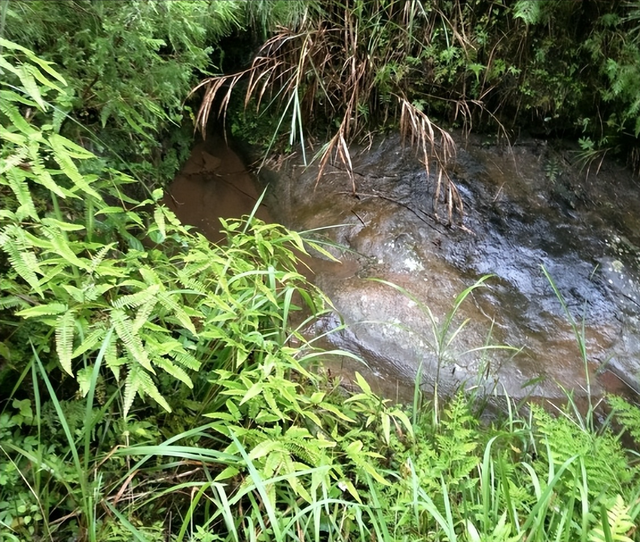 叶飞扮作新娘回门子，被当地民团拦住检查，游击队员一撞解危机