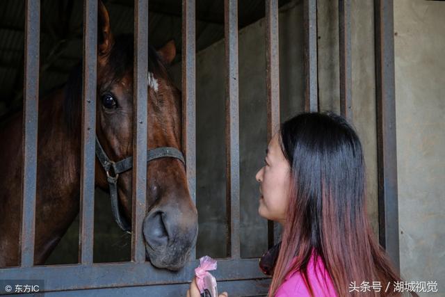 美女驯马师熊妈妈：从月入两千到资产百万 每天往返京冀跨省上班