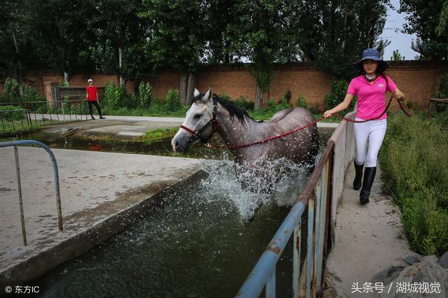 美女驯马师熊妈妈：从月入两千到资产百万 每天往返京冀跨省上班