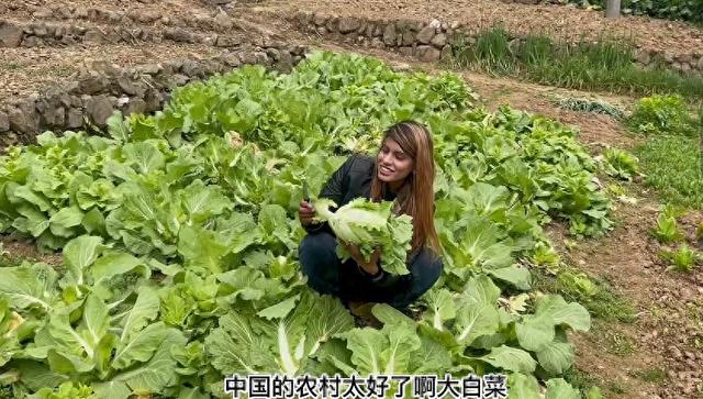 爱与战争：巴基斯坦美女与四川小伙的婚姻传奇