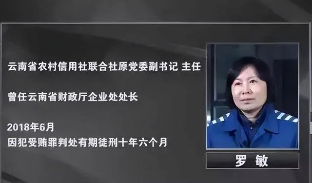 美女贪官罗敏落马记