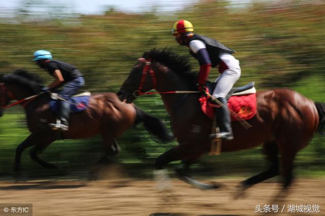 美女驯马师熊妈妈：从月入两千到资产百万 每天往返京冀跨省上班