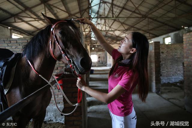 美女驯马师熊妈妈：从月入两千到资产百万 每天往返京冀跨省上班