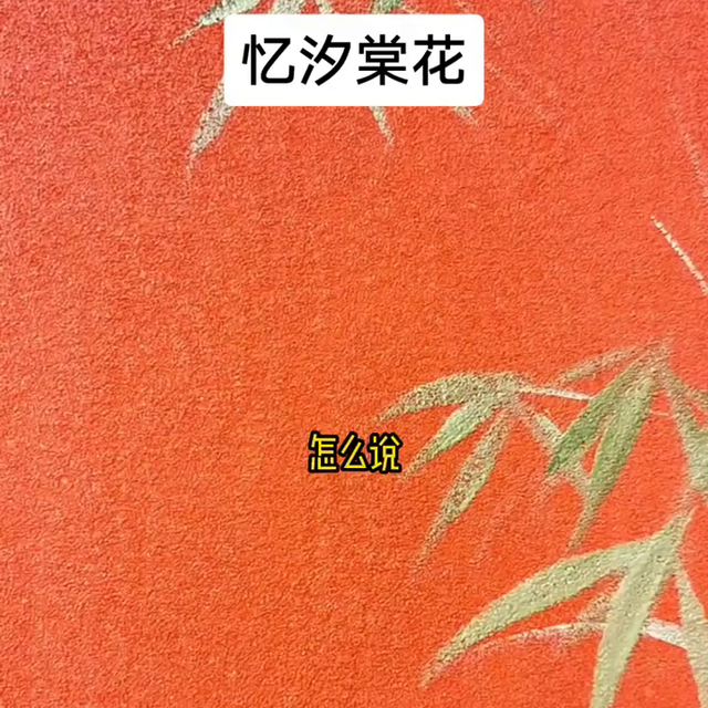 《忆汐棠花》#言情#文荒推文