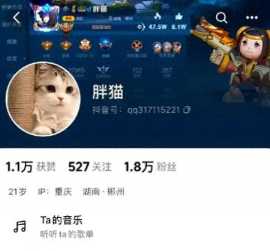 不红是有道理的！赵樱子为“胖猫”发声引群嘲，评论区沦陷