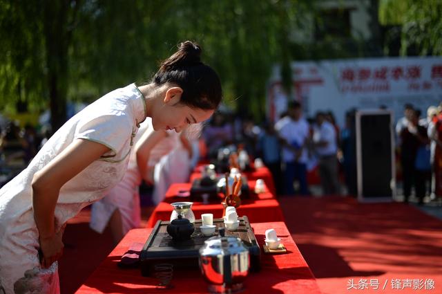 济南泉水泡茶 美女茶艺师秀茶艺