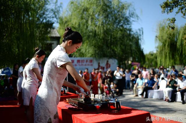 济南泉水泡茶 美女茶艺师秀茶艺