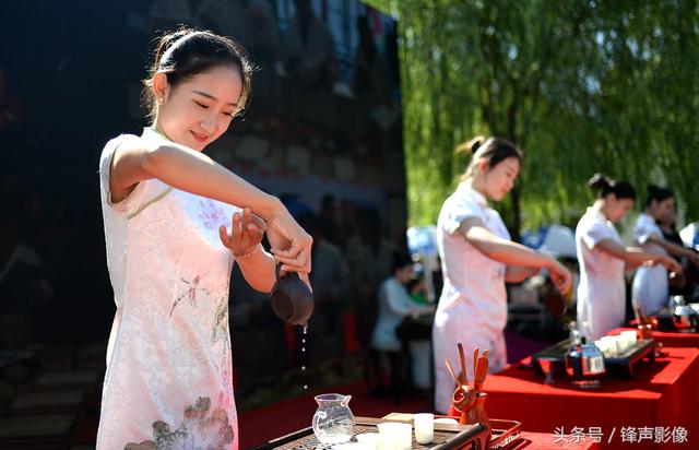 济南泉水泡茶 美女茶艺师秀茶艺