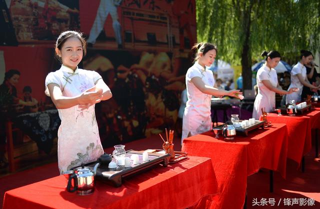 济南泉水泡茶 美女茶艺师秀茶艺