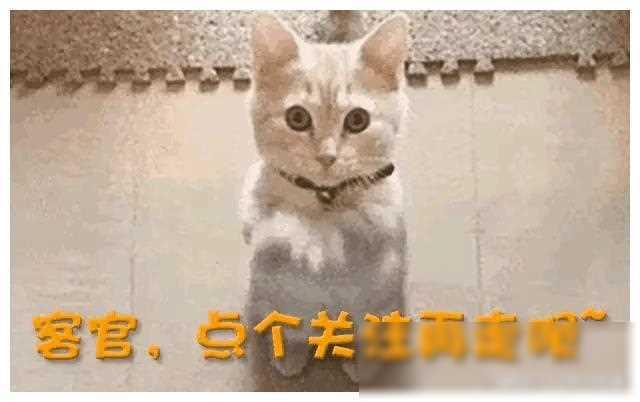 非洲小五炖猪蹄，竟引发一连串“大事件”！网友：太意外了！