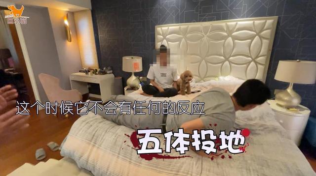 小狗过度保护女主人，男朋友接近就被凶