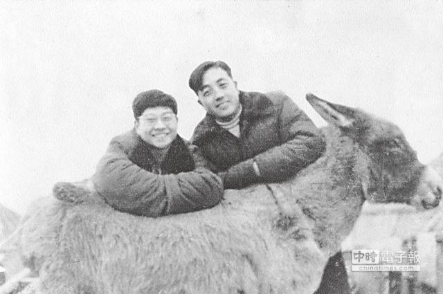 追最靓的女，写最好的文，他是70年来香港最风流的人