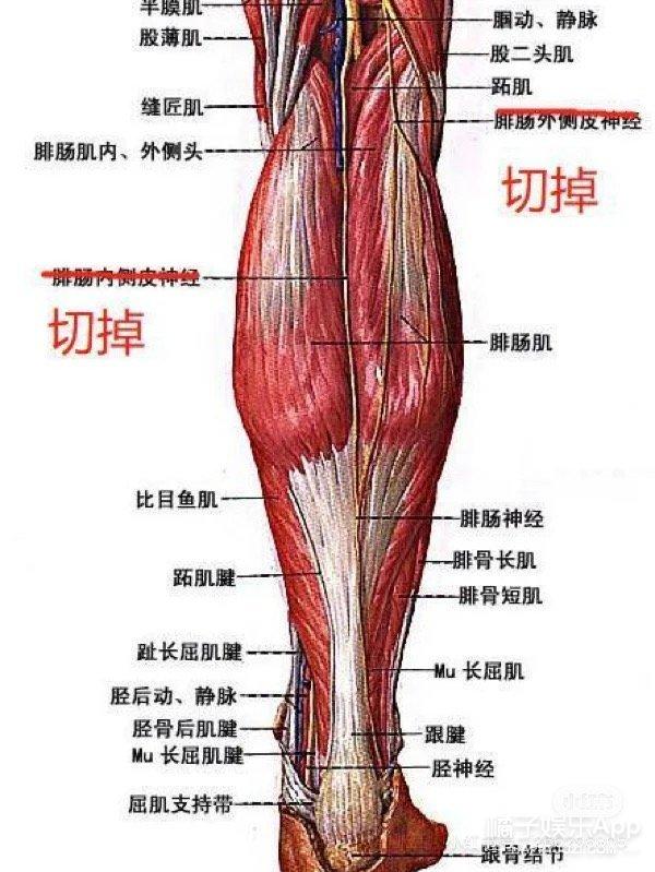 整容整疯了？拆肋瘦腰手指溶脂等手术层出不穷，为了美命都不要？