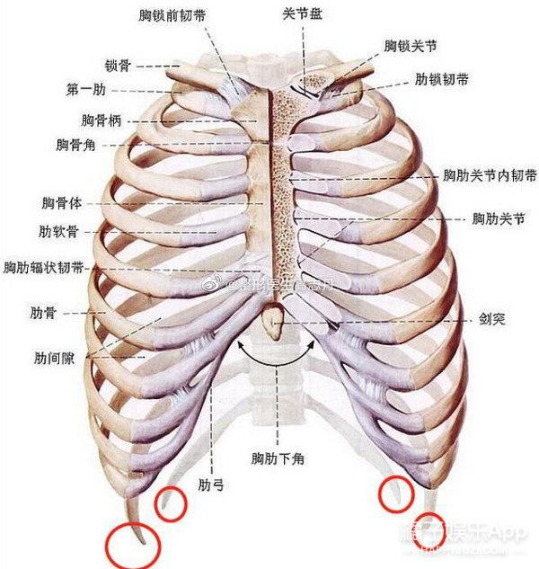 整容整疯了？拆肋瘦腰手指溶脂等手术层出不穷，为了美命都不要？