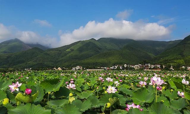 潇湘春早双牌篇：一季变四季 故事还得从桐子坳说起