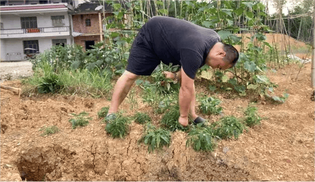 女主管办公室，她亲吻了我的嘴唇，由此开始了一个崭新的时代。