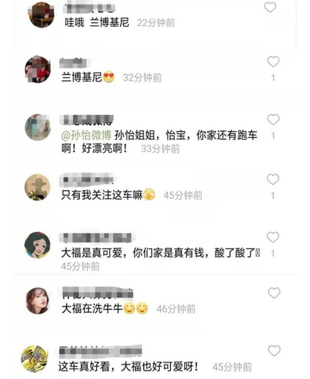 孙怡晒3岁女儿洗车照，价值百万兰博基尼太炫酷，网友：在炫富？