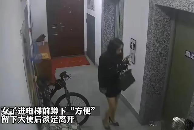 电梯口惊现美女排便，坦荡惯犯引发评论区热议！