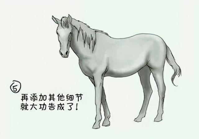 画师大佬分享画动漫美少女的方法：首先，你需要一颗青菜