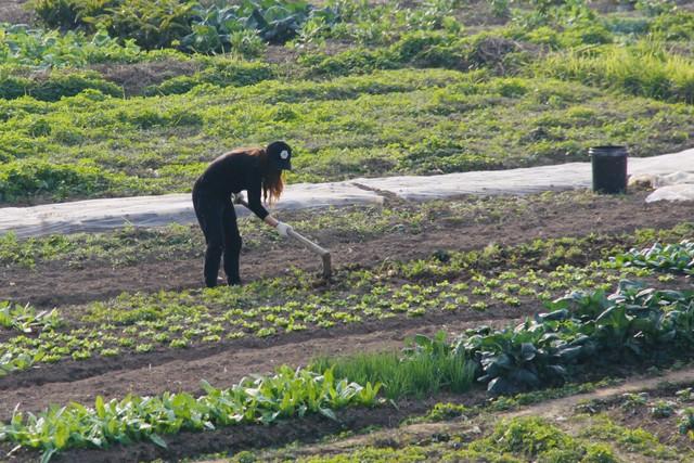 在两性关系中， 大多数女性害怕五十多岁的男性， 原因无非是四点