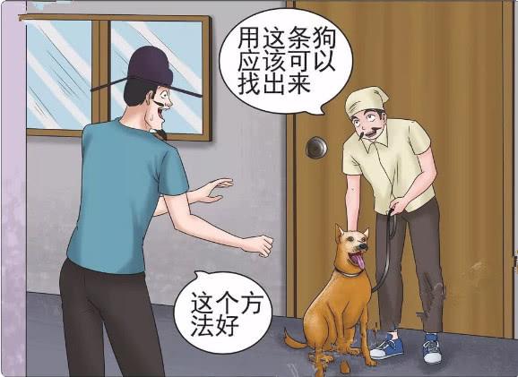 搞笑漫画：美女被绑，小伙寻人未果找来私家侦探，无意中得知真相