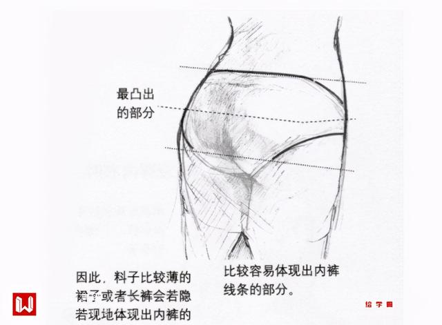 人物的臀部怎么画？带你轻松学会女生臀部画法