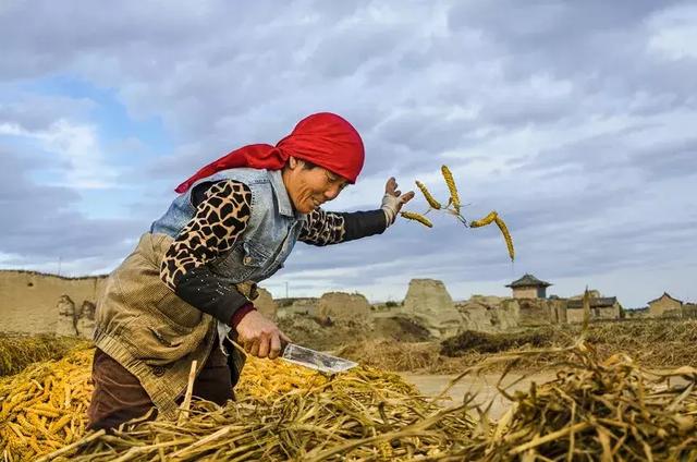 阳原惊现人间仙境！被县人民医院的一位美女发现，并拍了下来……