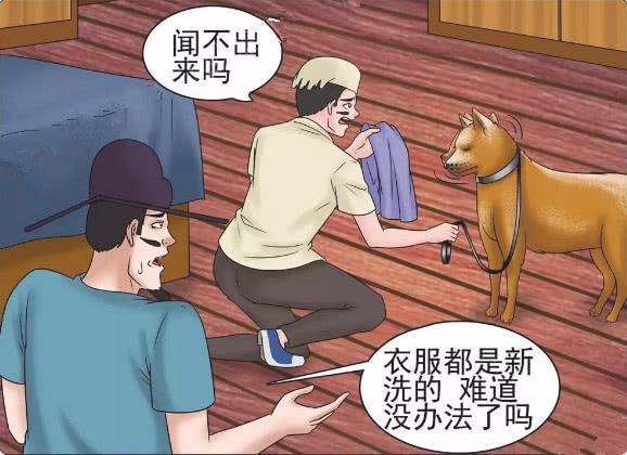 搞笑漫画：美女被绑，小伙寻人未果找来私家侦探，无意中得知真相