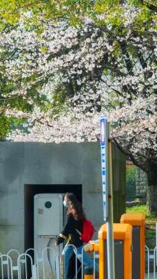 湖北美女国片(高清大图来袭湖北“最美校花”写真曝光，个个颜值绝美)