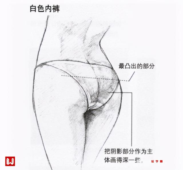 人物的臀部怎么画？带你轻松学会女生臀部画法