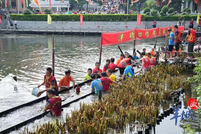 广州荔湾泮塘400多岁“老龙”起水，女子龙船队迎10周年