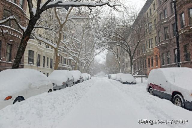 冰天雪地里，车子趴窝惹人急；美女路见有难，伸手相助解忧愁